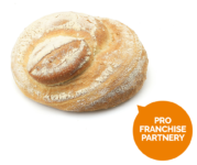 Cz pastir