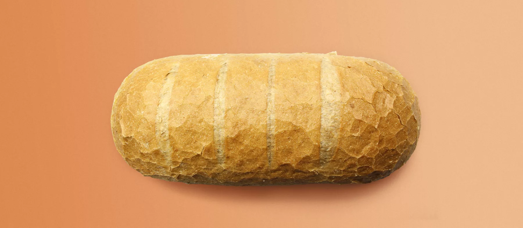 Web podskupiny chlieb